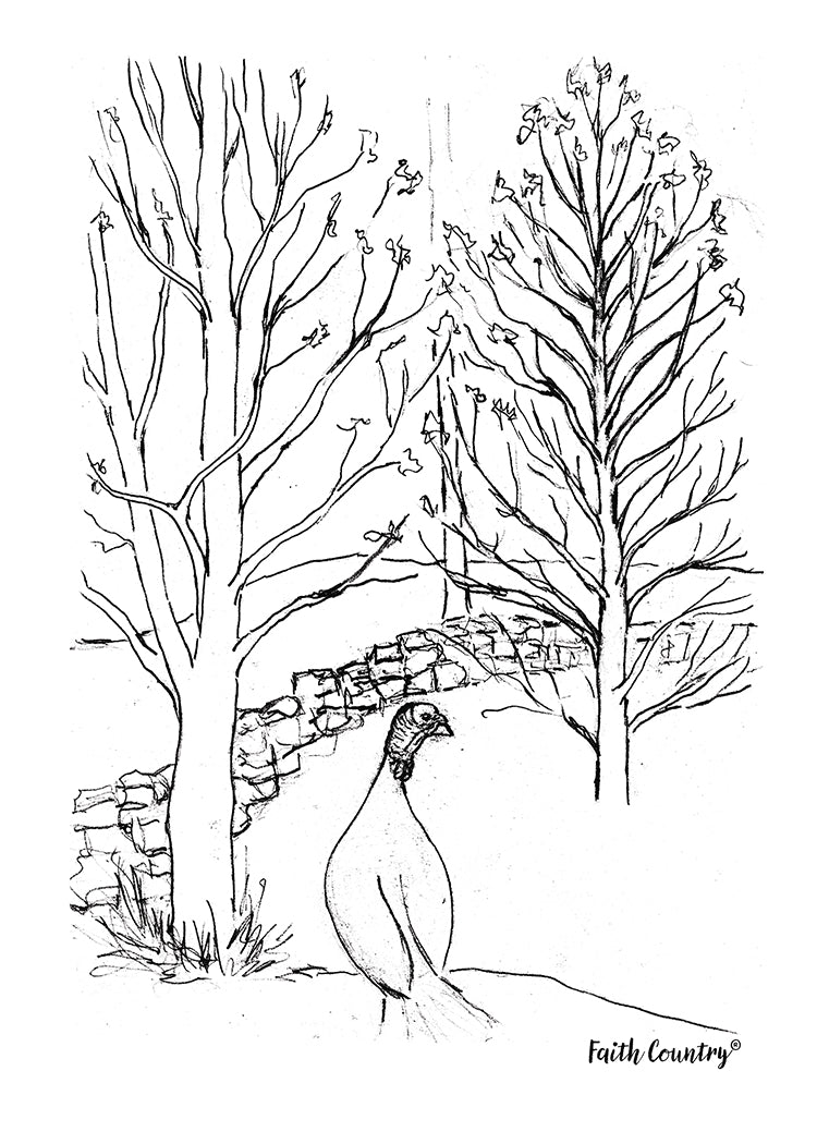 Wild Turkey Sketch Printable, Rustic Farm Wildlife Drawing, Vintage Country Line Art, Heritage Nature Wall Decor