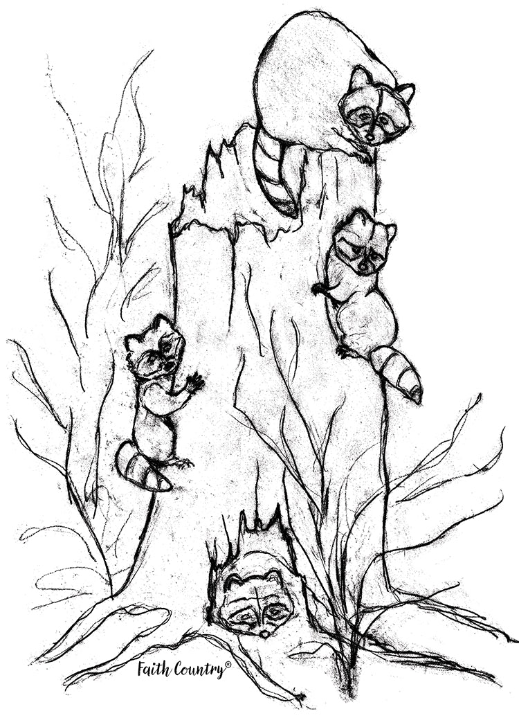 Woodland Raccoon Sketch Printable, Vintage Forest Animal Drawing, Rustic Country Line Art, Heritage Farmhouse Decor