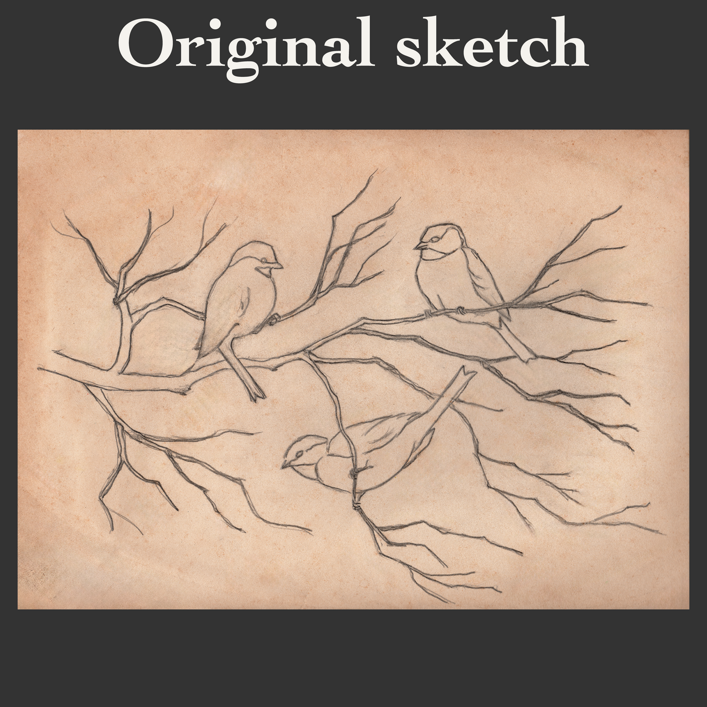 Songbird Trio Personalized Vintage Country Ceramic Mug | American Heritage Collection | Custom Farmhouse Coffee Cup 11oz