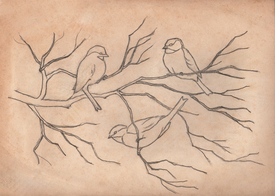 Songbird Trio  Art Card