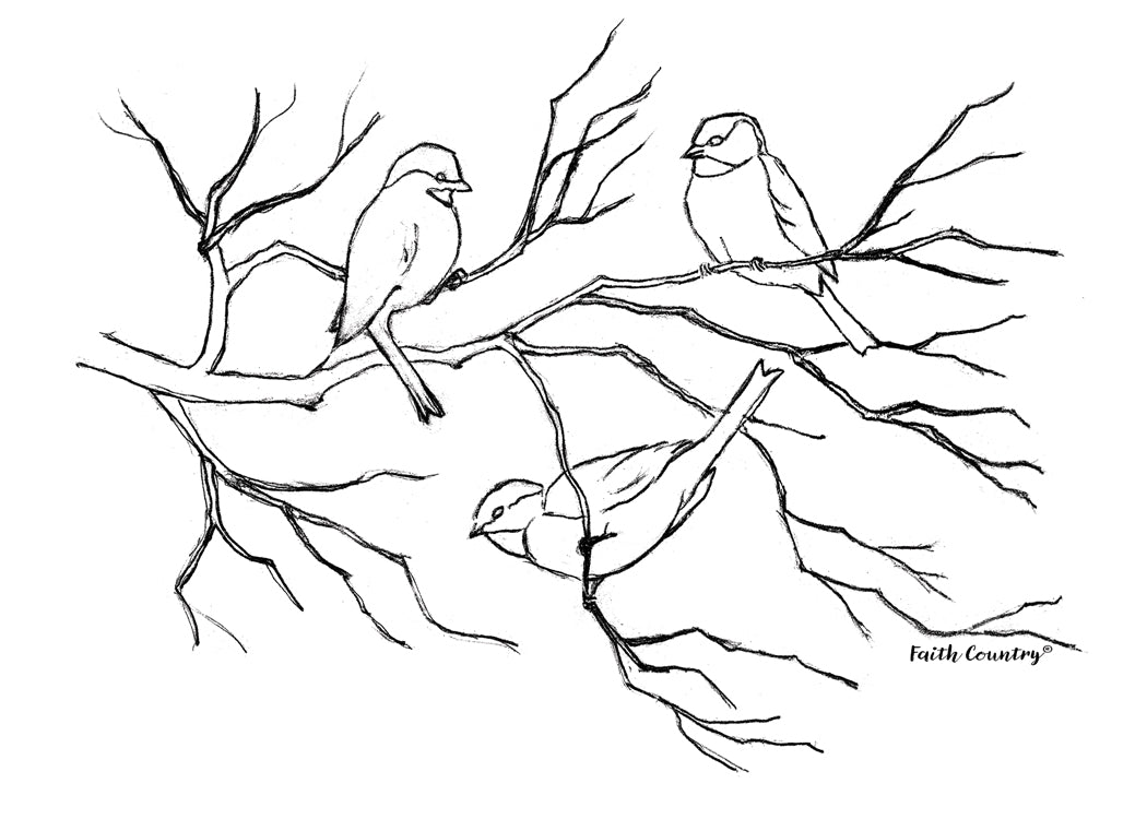 Songbird Trio  Art Card