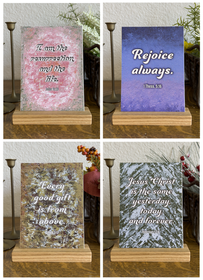 Bold Seasonal Bundle