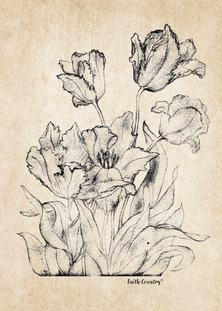Vintage Floral Sketch Printable, Rustic Flower Line Art Drawing, Antique Botanical Wall Art, Farmhouse Decor