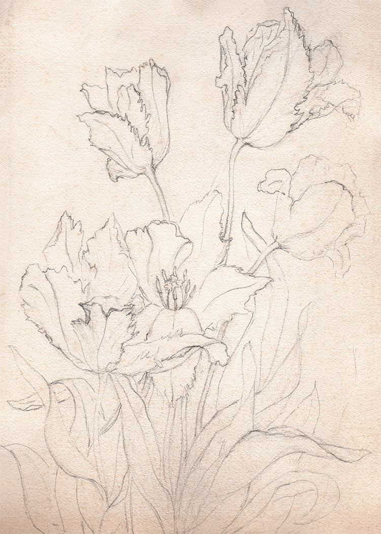 Vintage Floral Sketch Printable, Rustic Flower Line Art Drawing, Antique Botanical Wall Art, Farmhouse Decor