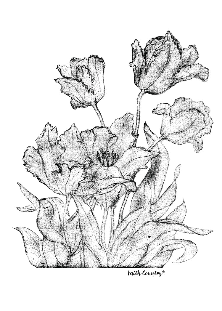 Vintage Floral Sketch Printable, Rustic Flower Line Art Drawing, Antique Botanical Wall Art, Farmhouse Decor