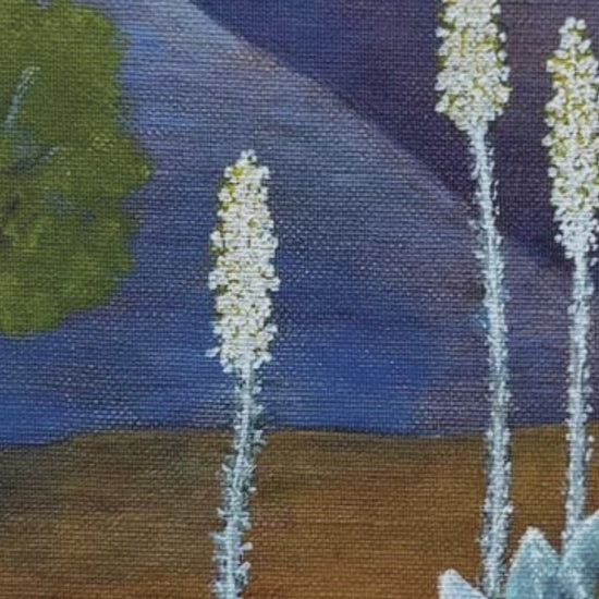 Video preview of Octopus Agave canvas art showing close-up details of desert blooms and earthy textures on satin canvas