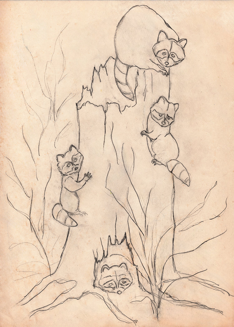 Woodland Raccoons Art Card