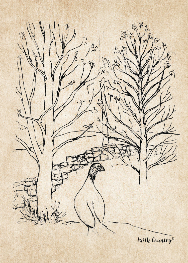 Wild Turkey Sketch Printable, Rustic Farm Wildlife Drawing, Vintage Country Line Art, Heritage Nature Wall Decor