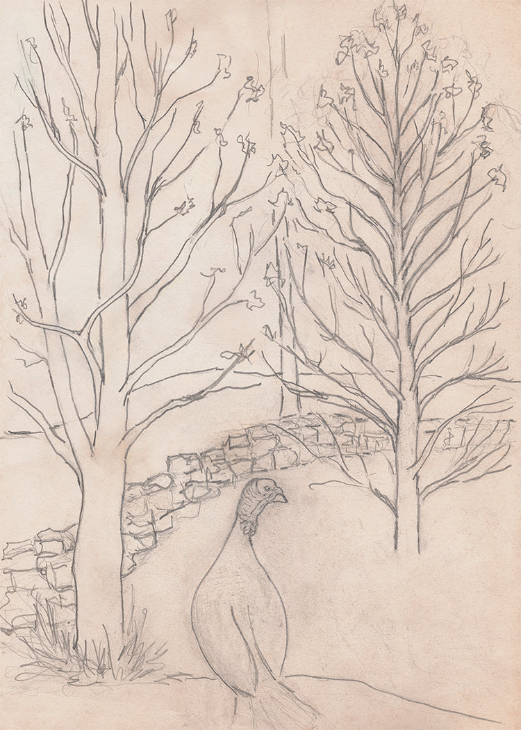 Wild Turkey Sketch Printable, Rustic Farm Wildlife Drawing, Vintage Country Line Art, Heritage Nature Wall Decor