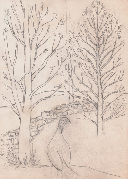 Wild Turkey Sketch Printable, Rustic Farm Wildlife Drawing, Vintage Country Line Art, Heritage Nature Wall Decor